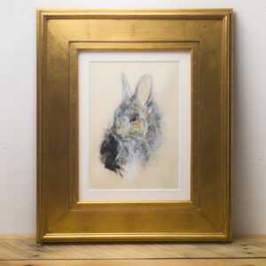 Bunny