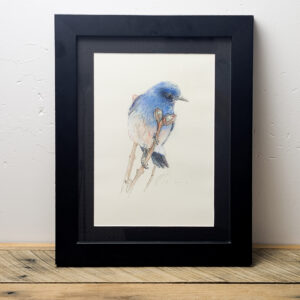 E. Bluebird