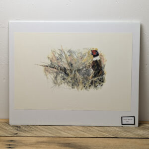 Pheasant