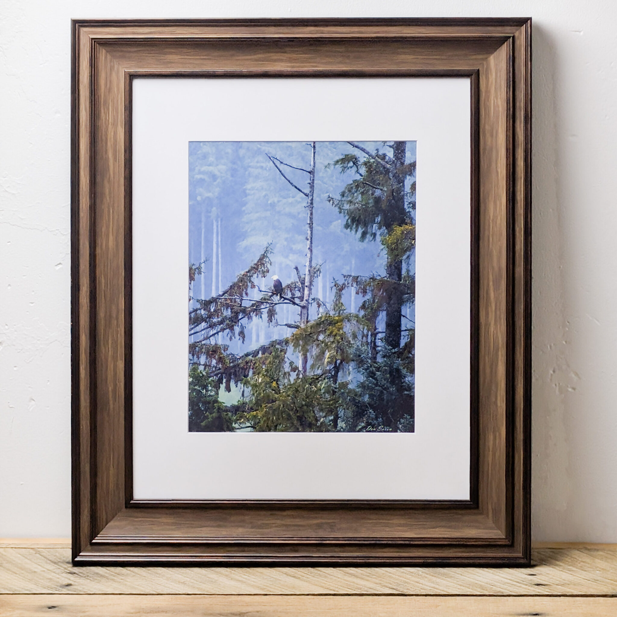 Rainforest