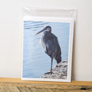 Heron on a pond