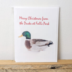 Mallard Duck Christmas Card