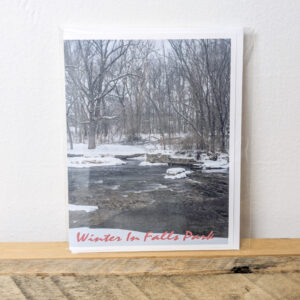 Snowy Fall Creek