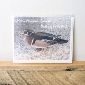 Wood Duck