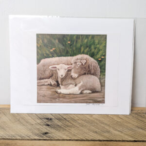 Sheep