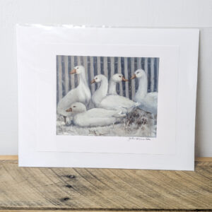 Ducks