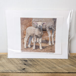 Lamb Standing