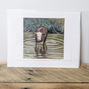 Cow