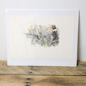 Pheasant