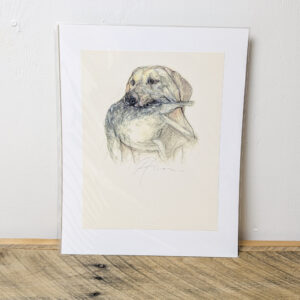 Hunting Dog
