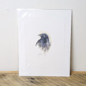 Blackbird