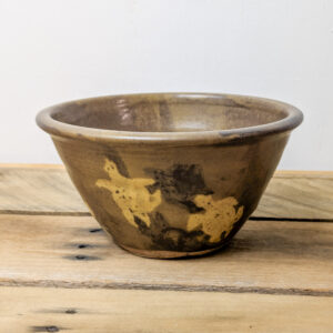 Turtle Bowl