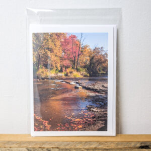 Fall Creek