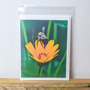 Bumble Bee On Flower